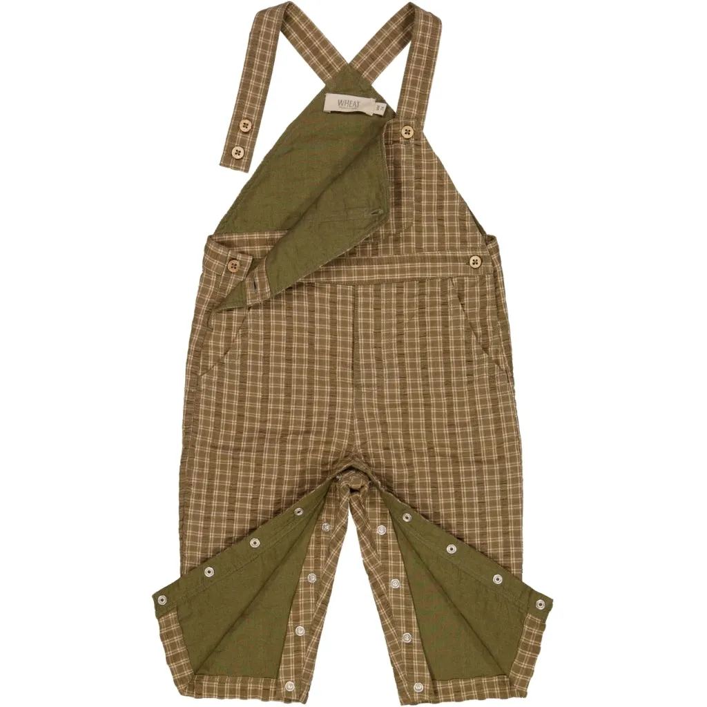 Overall Jonathan - pine check