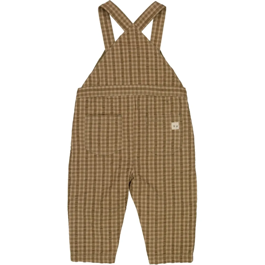Overall Jonathan - pine check