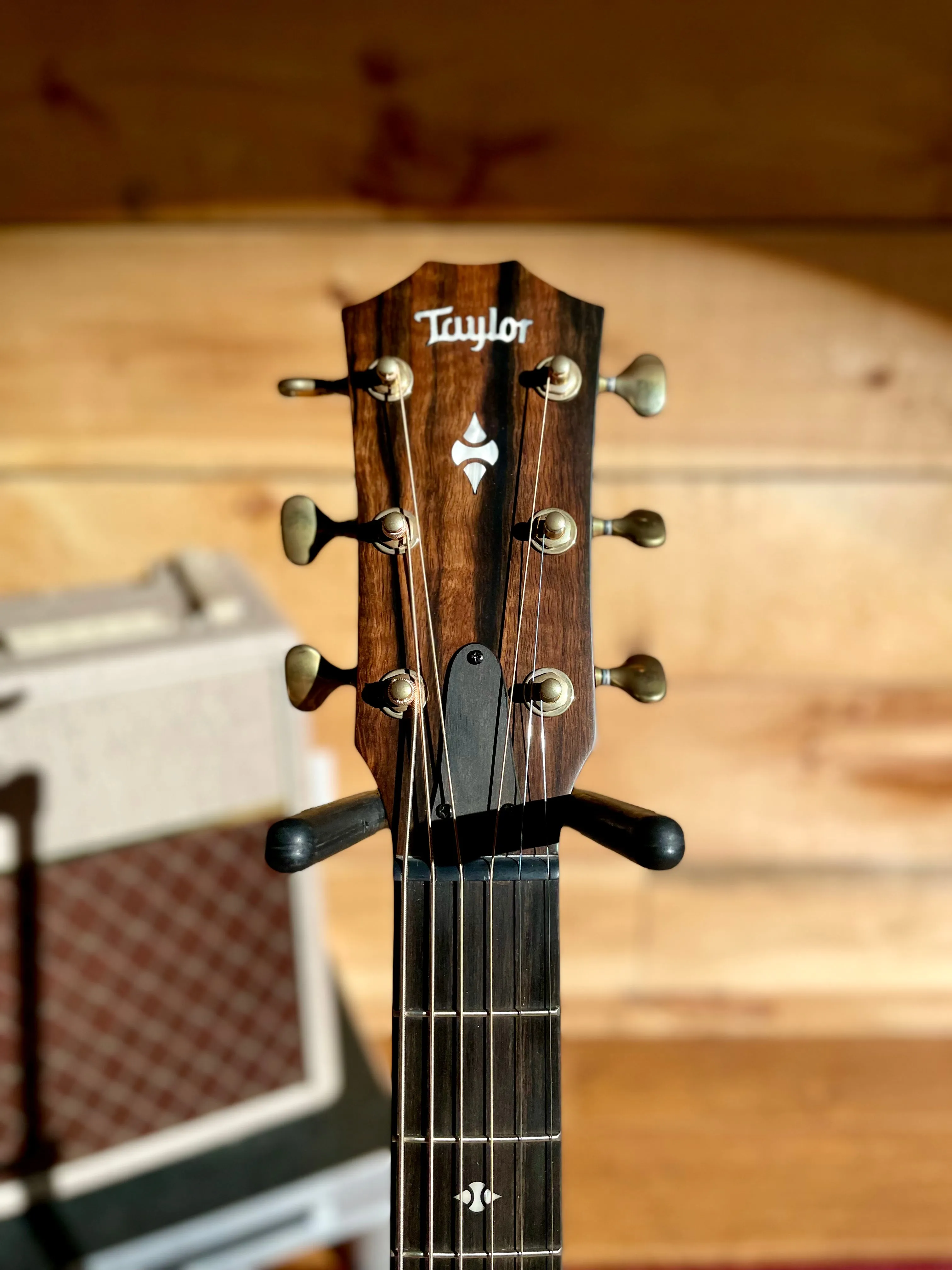 Taylor Builder's Edition 324ce, Mahogany/Urban Ash