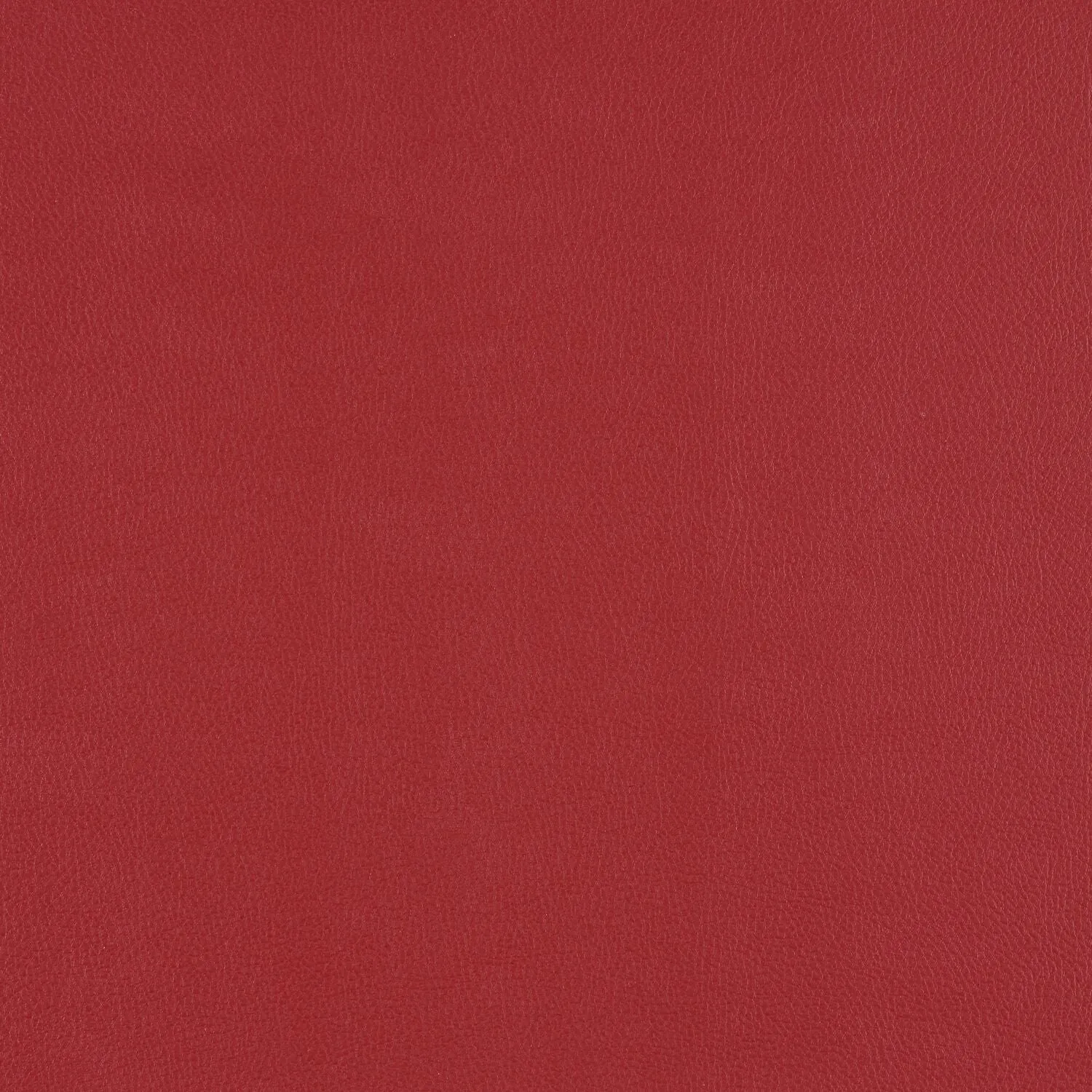 Top Coat - Conduct - 4083 - 07 - Half Yard