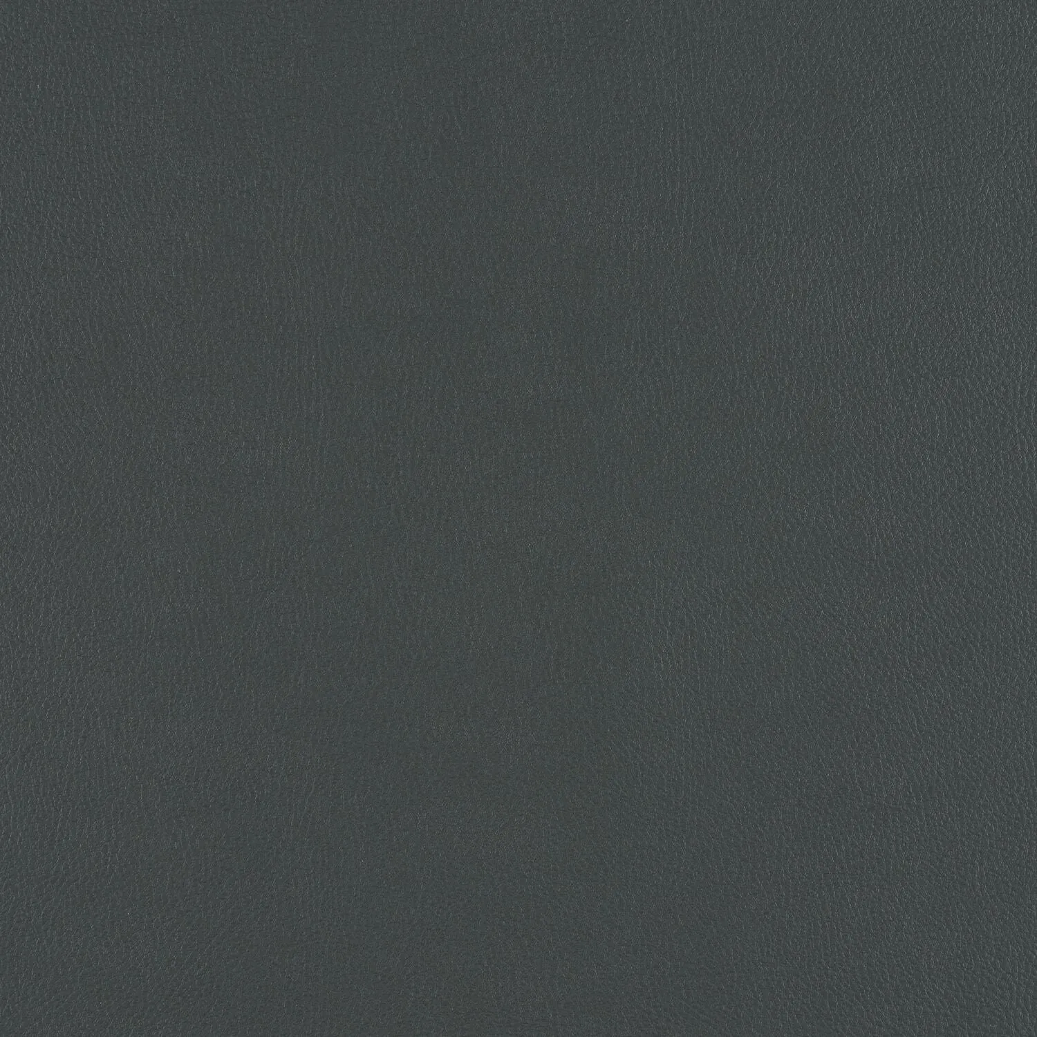 Top Coat - Weld - 4083 - 17 - Half Yard